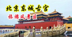 嗯嗯,骚屄流水要鸡巴肏视频中国北京-东城古宫旅游风景区